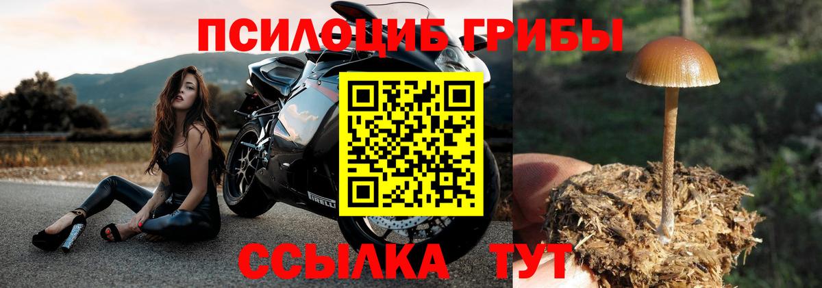 Псилоцибиновые грибы MAGIC MUSHROOMS Орехово-Зуево